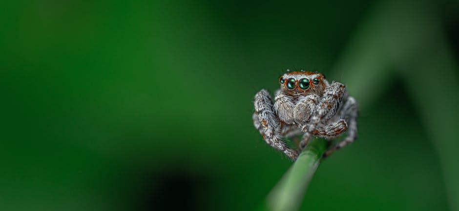 Exploring the World of Macro Photography