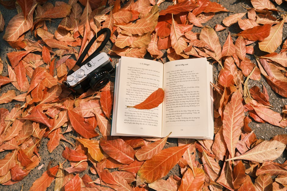 Creative Collages that Tell a Story