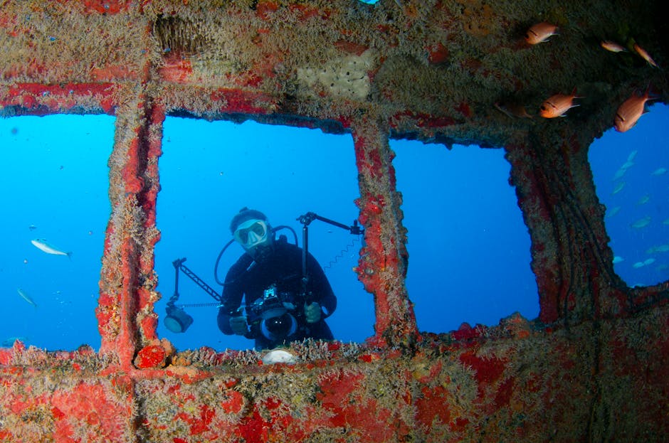 Best Underwater Camera Equipment for Adventurers