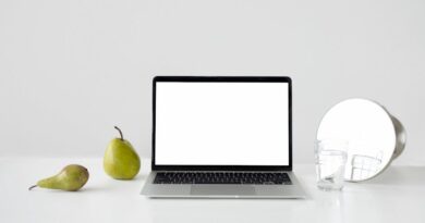 Artful Still Life for Creative Minds