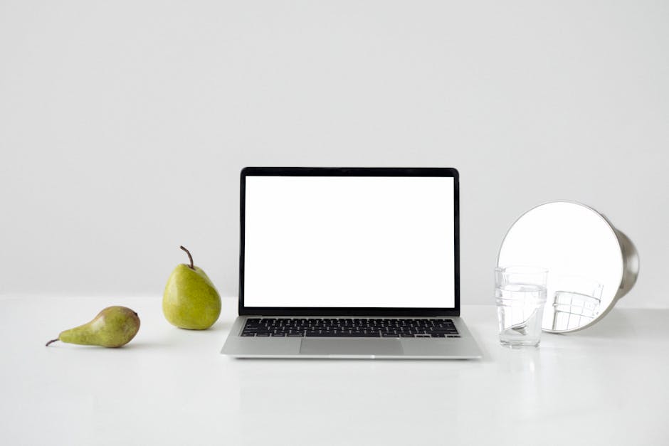 Artful Still Life for Creative Minds