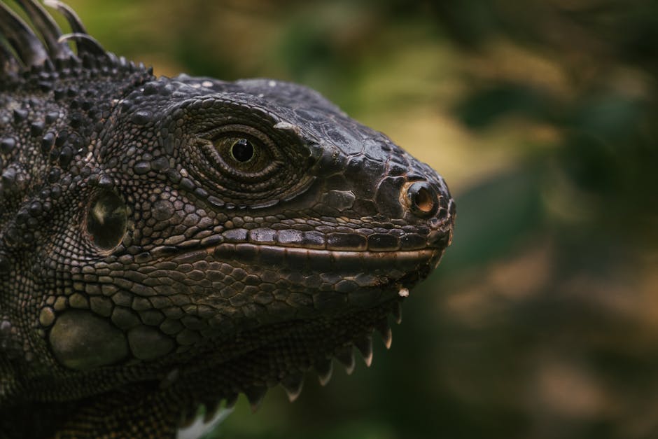 Exploring the World of Macro Photography