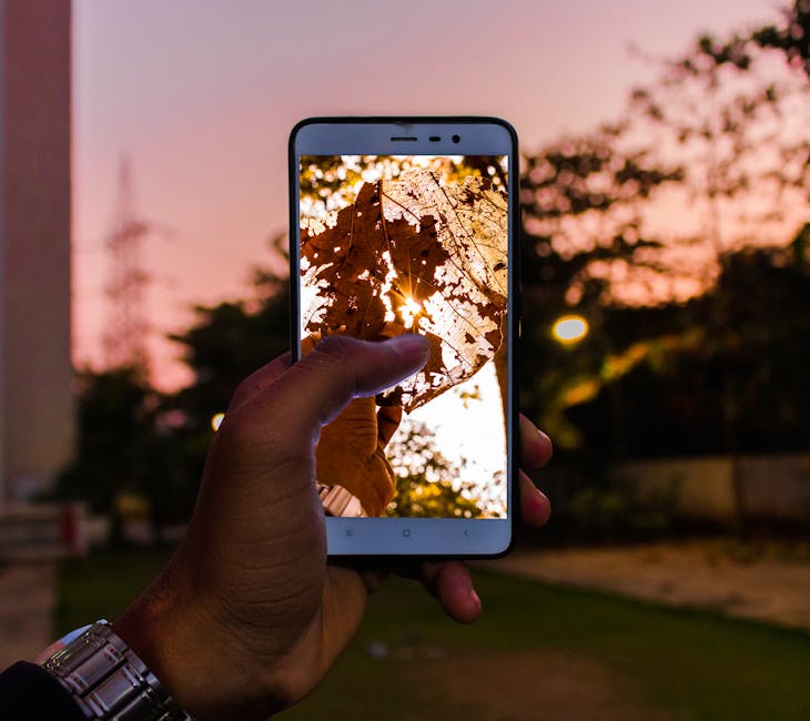 Capturing the Beauty of Urban Landscapes
