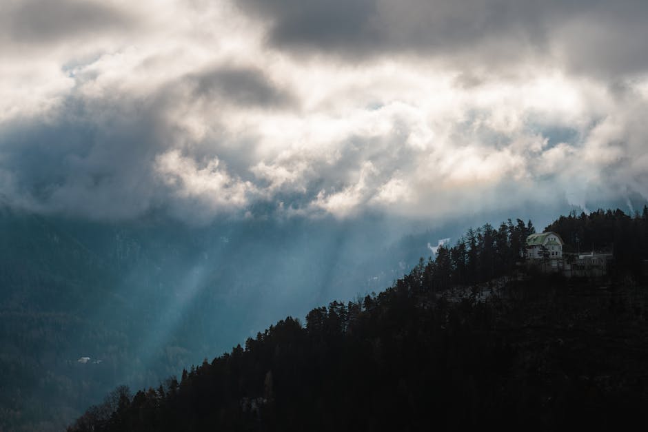 Using Natural Light for Breathtaking Images