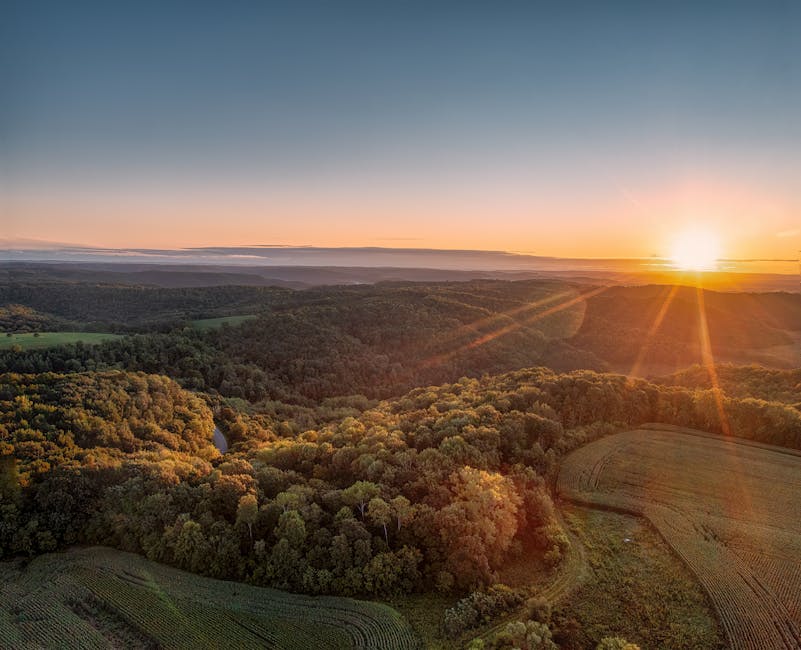 Using Natural Light for Breathtaking Images