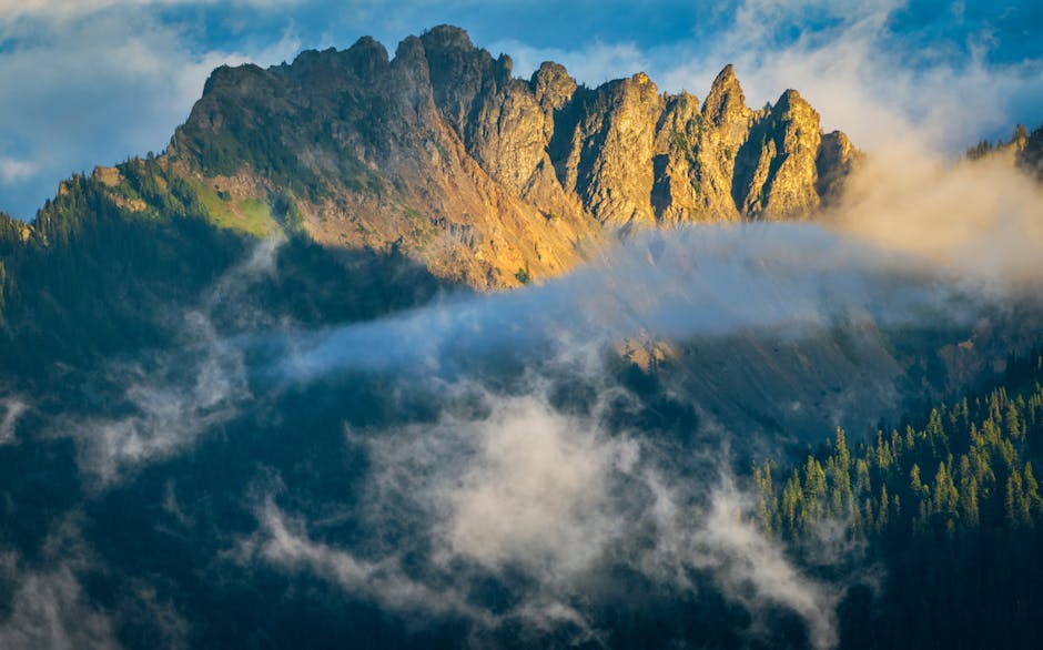 Using Natural Light for Breathtaking Images