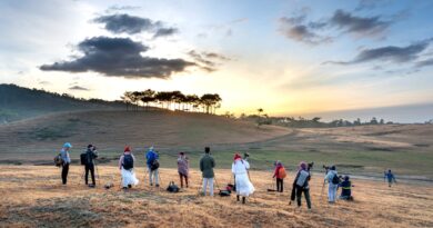 In-Depth Review: Best Tripods for Photographers